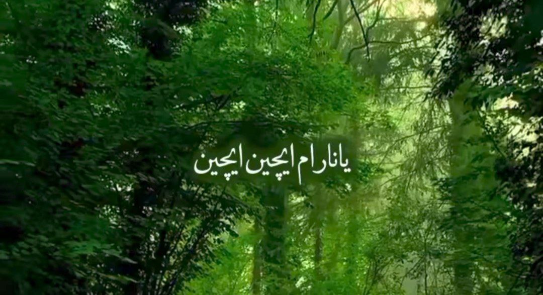  یانارام ایچین ایچین اولرم سنین اوچون